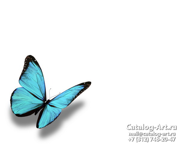  Butterflies 111